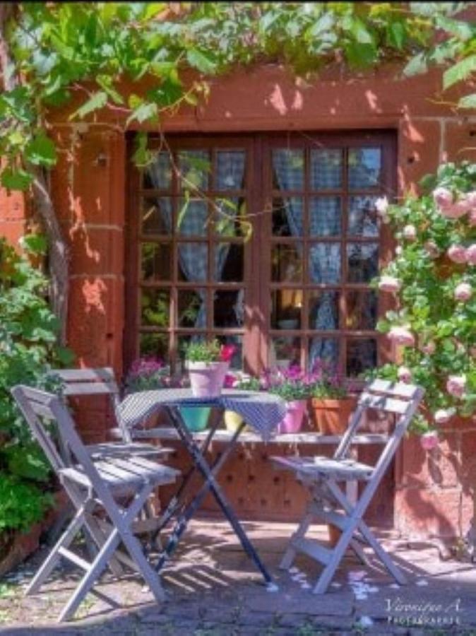 Le Parc Des 4 Saisons Bed & Breakfast Correze Exterior photo
