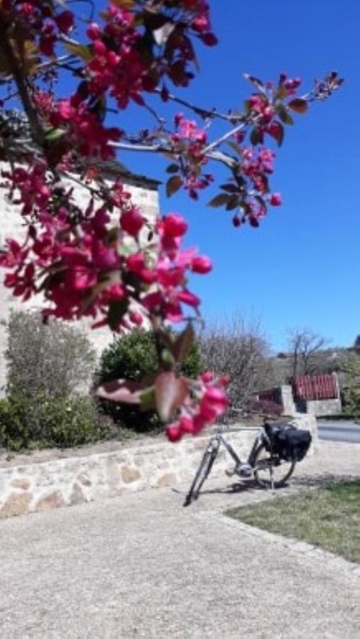 Le Parc Des 4 Saisons Bed & Breakfast Correze Exterior photo