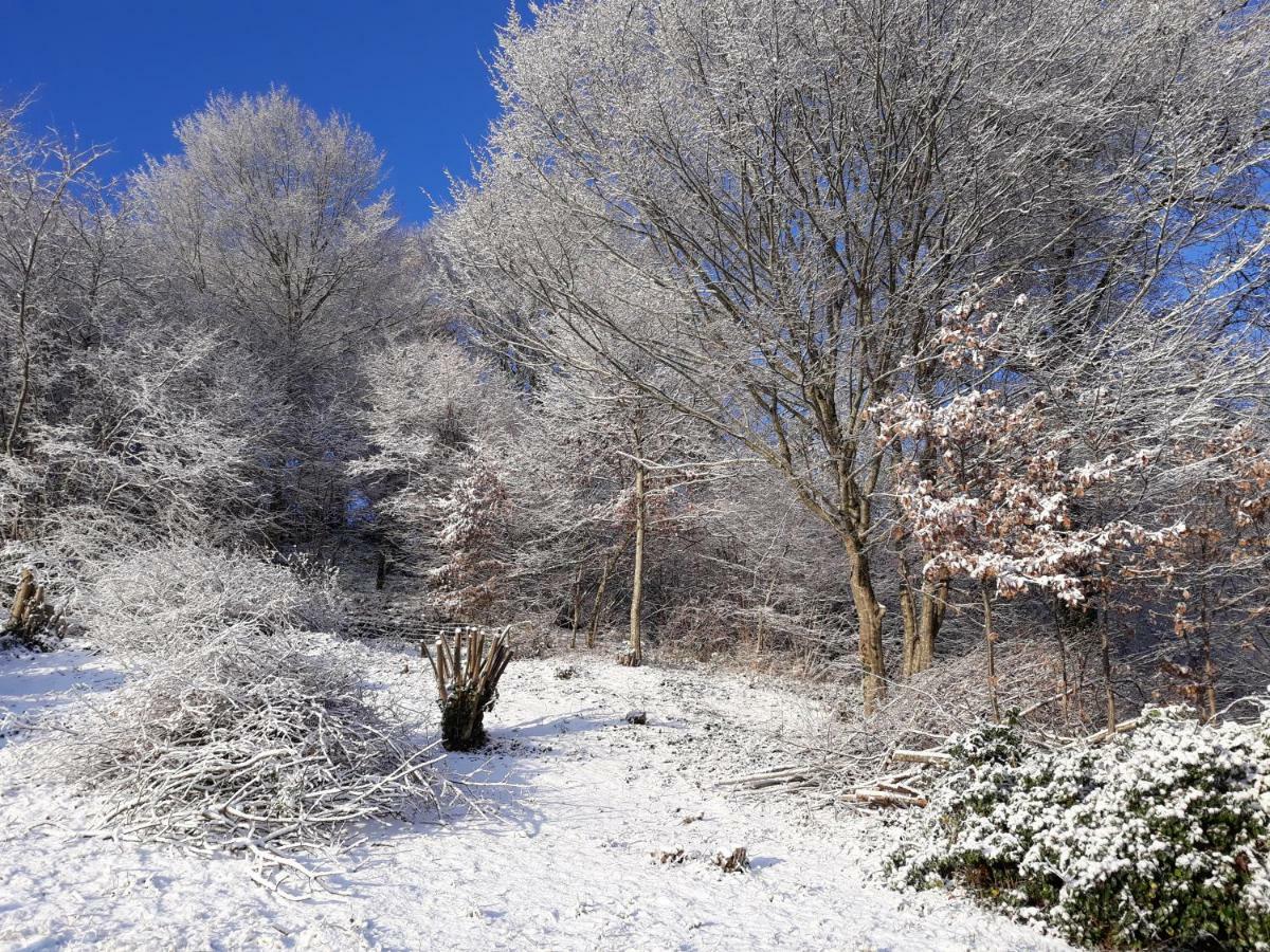 Le Parc Des 4 Saisons Bed & Breakfast Correze Exterior photo